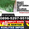 Grosir Rumput Sintetis Kabupaten Kediri.jpg