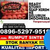 Penjual Rumput Sintetis Sleman.jpg