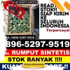 Gudang Rumput Palsu Bojong Genteng.jpg