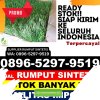 Penjual Rumput Imitasi Kabupaten Deli Serdang.jpg