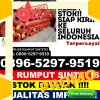 Jual Rumput Imitasi Parbuluan.jpg