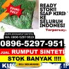 Penjual Rumput Imitasi Kabupaten Karawang.jpg