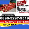 Distributor Rumput Sintetis Purwadadi.jpg