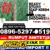 Agen Rumput Imitasi Melak.jpg