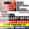 Penjual Rumput Sintetis Sukamerindu.jpg