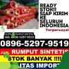 Jual Rumput Imitasi Pasekan.jpg