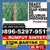 Grosir Rumput Palsu Manggeng.jpg