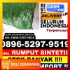 Penjual Rumput Imitasi Kabupaten Lampung Selatan.jpg