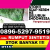 Grosir Rumput Sintetis Kabupaten Pulau Morotai.jpg