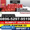 Penjual Rumput Sintetis Sulabesi Selatan.jpg