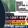 Grosir Rumput Palsu Mappak.jpg