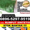 Penjual Rumput Imitasi Kabupaten Nagan Raya.jpg