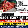 Distributor Rumput Sintetis Rantau Panjang.jpg