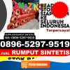 Jual Rumput Imitasi Pekalongan Selatan.jpg