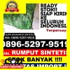 Penjual Rumput Imitasi Kabupaten Pidie Jaya.jpg