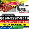 Jual Rumput Imitasi Penebel.jpg