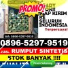 Distributor Rumput Imitasi Belalau.jpg