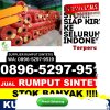 Jual Rumput Imitasi Petir.jpg