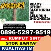 Jual Rumput Plastik Medan Maimun.jpg