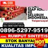 Distributor Rumput Sintetis Sakra.jpg