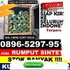 Distributor Rumput Imitasi Bengo.jpg