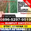 Jual Rumput Plastik Menganti.jpg