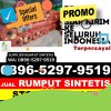 Distributor Rumput Sintetis Sambirejo.jpg