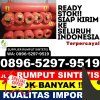 Penjual Rumput Sintetis Tambun Utara.jpg