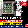 Gudang Rumput Palsu Cilamaya Wetan.jpg