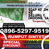 Penjual Rumput Imitasi Kampar Kiri Tengah.jpg