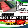 Penjual Rumput Palsu Wasile Utara.jpg