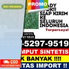 Jual Rumput Plastik Mesuji Raya.jpg