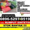 Penjual Rumput Palsu Wera.jpg