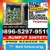 Distributor Rumput Imitasi Bonti.jpg