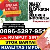 Jual Rumput Plastik Muara Bengkal.jpg