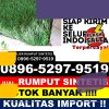 Grosir Rumput Sintetis Kedungadem.jpg