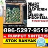 Gudang Rumput Palsu Damang Batu.jpg