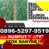 Jual Rumput Plastik Muaradua.jpg