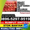 Distributor Rumput Sintetis Sematang Borang.jpg