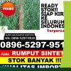 Grosir Rumput Sintetis Kelumpang Tengah.jpg