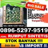 Penjual Rumput Plastik Aek Nabara Barumun.jpg