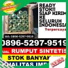 Distributor Rumput Imitasi Bulak.jpg