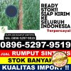 Jual Rumput Plastik Nanga Taman.jpg