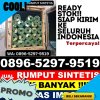 Penjual Rumput Plastik Amali.jpg