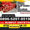 Agen Rumput Imitasi Pancung Soal.jpg