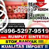 Penjual Rumput Sintetis Terangun.jpg