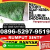 Gudang Rumput Palsu Embaloh Hilir.jpg