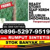 Penjual Rumput Imitasi Kepenuhan.jpg