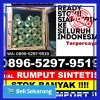 Penjual Rumput Plastik Anyar.jpg