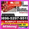 Jual Rumput Plastik Padang Batung.jpg